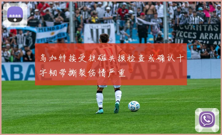 乌加特接受核磁共振检查或确认十字韧带撕裂伤情严重