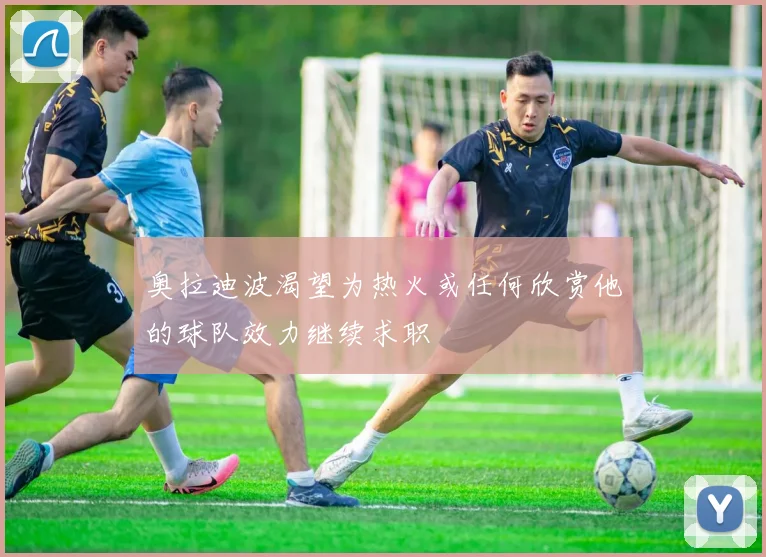 奥拉迪波渴望为热火或任何欣赏他的球队效力继续求职