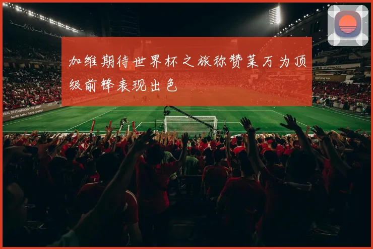 加维期待世界杯之旅称赞莱万为顶级前锋表现出色